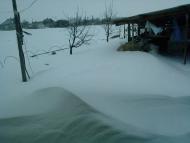 Андріївка з panoramio.com