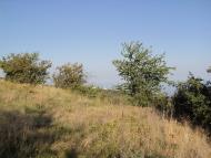 Запрудне з panoramio.com