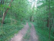 Нова Гута з panoramio.com