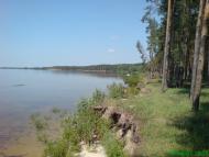 Стовп'яги з panoramio.com