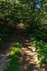 Пашківці з panoramio.com