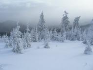 Вороненко з panoramio.com