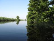 Хабарище з panoramio.com