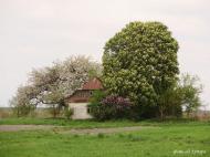 Звози з panoramio.com