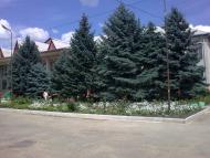 Фрунзівка з panoramio.com