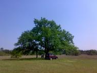 Буркути з panoramio.com