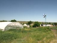 Ракове з panoramio.com