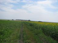 Аркушине з panoramio.com