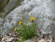 Орлине з panoramio.com