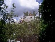 Теофілівка з panoramio.com