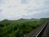 Вербка з panoramio.com