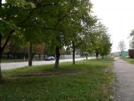 Домаха з panoramio.com