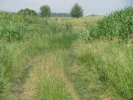 Аркушине з panoramio.com