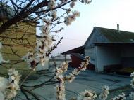 Андріївка з panoramio.com