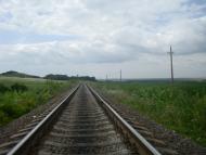 Вербка з panoramio.com