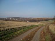 Старий Мерчик з panoramio.com