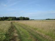 Хрипськ з panoramio.com