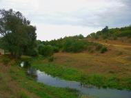 Шевченкове з panoramio.com