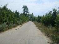 Ставчани з panoramio.com