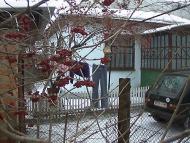 Теофілівка з panoramio.com