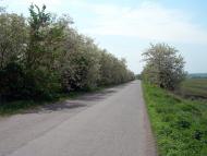 Пильна з panoramio.com