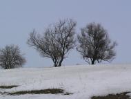 Пішки з panoramio.com