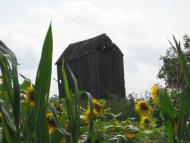 Інгулка з panoramio.com