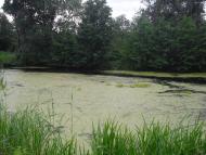 Перекопівка з panoramio.com