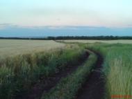 Хрящувате з panoramio.com