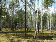 Левків з panoramio.com