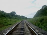 Нігин з panoramio.com