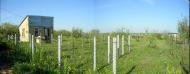 Протопопівка з panoramio.com