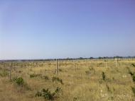 Берегове з panoramio.com