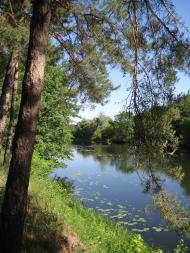 Курган з panoramio.com