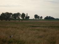 Кам'янка-Бузька з panoramio.com