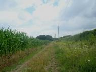 Вербка з panoramio.com