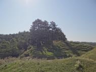 Сидорів з panoramio.com