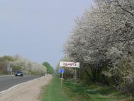 Пішки з panoramio.com