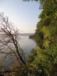 Комарів з panoramio.com