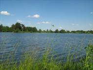 Піддубці з panoramio.com