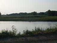 Gorodok - Latest photos