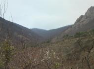 Зеленогір'я з panoramio.com