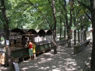 Дніпровське з panoramio.com