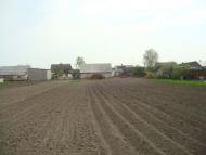 Дроздні з panoramio.com