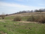 М'якеньківка з panoramio.com