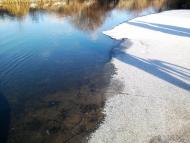 Велика Рача з panoramio.com