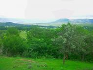 Краснолісся з panoramio.com