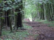 Гумниська з panoramio.com