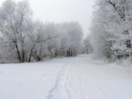 Вільшане з panoramio.com