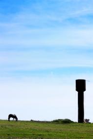 Перепельники з panoramio.com